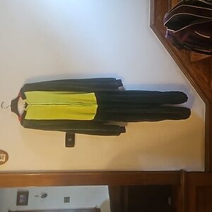 Used Walmart L/XL Dinosaur Costume